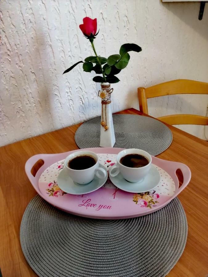 Apartman Studio Katarina Golubac Luaran gambar